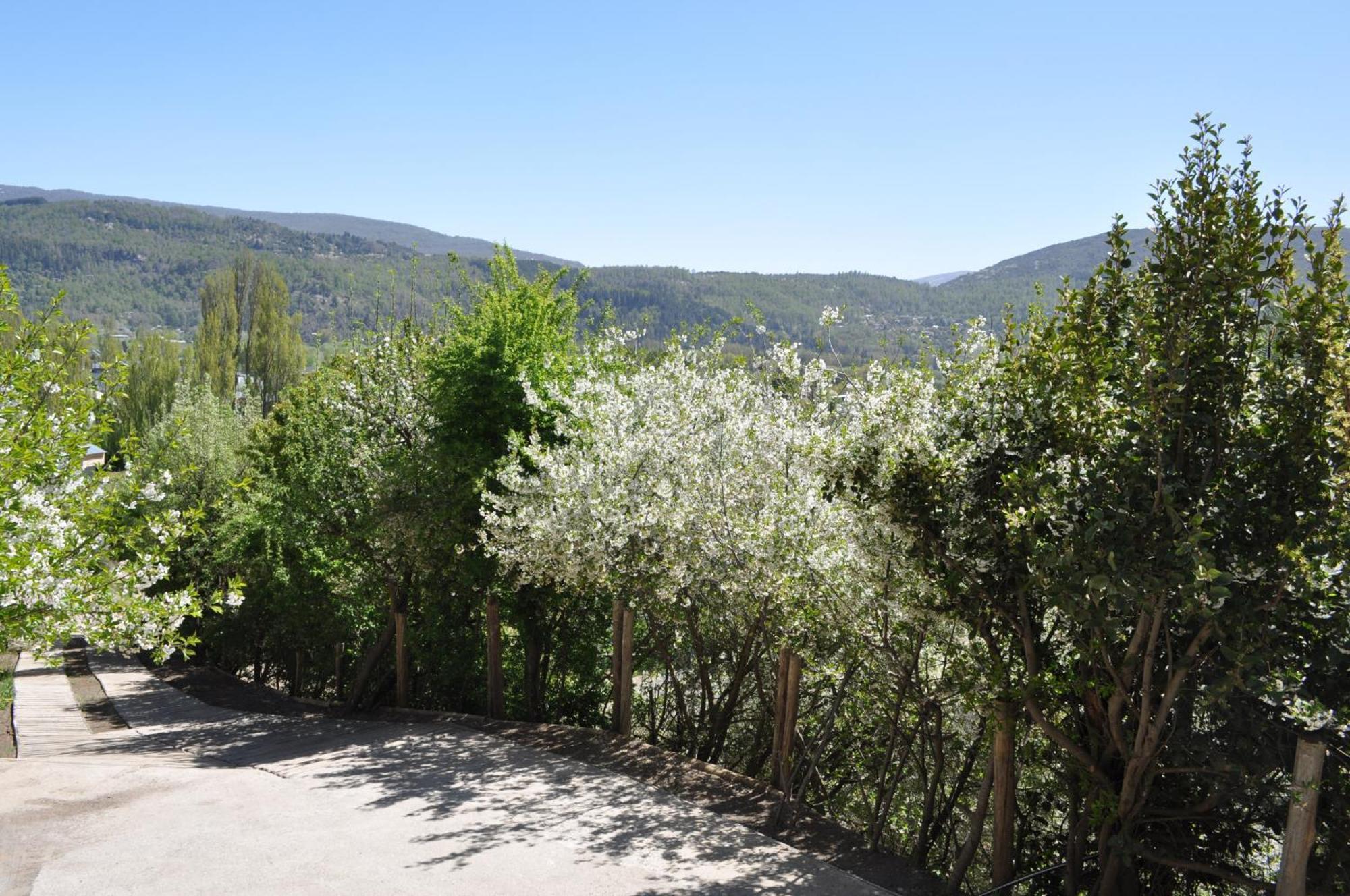 Melodia Natural En San Martín de los Andes Exterior foto